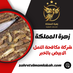 شركة مكافحة النمل الابيض بالخبر
